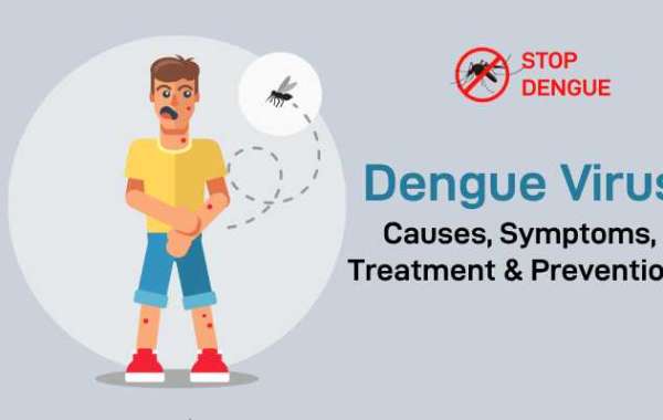 About dengue Virus; It’s Causes, Symptoms, Treatment & Preventions