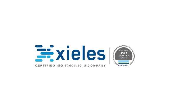 Empower Your Online Presence with Xieles Web Hosting Support