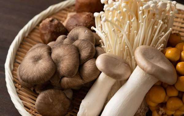 Japan Mushroom Market Size, Industry Share, Growth & Report 2023-2028