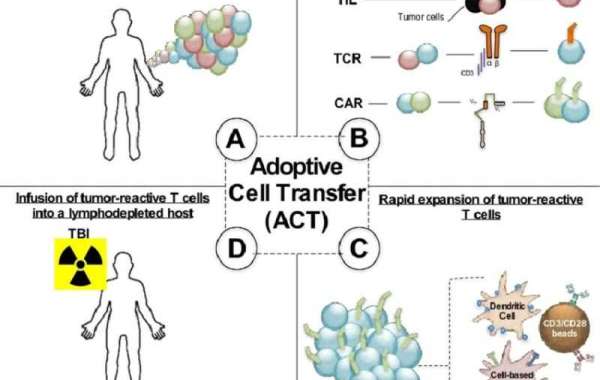Cellular Revolution: Unveiling the Future of Medicine through Adoptive Cell Therapy