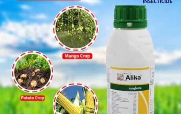 Best Insecticide for Your Agricultural Land