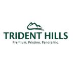 Trident Hills Panchkula Profile Picture
