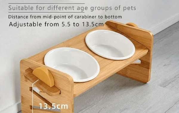 Elevate Their Eating: Premium Ceramic Dog Bowls for the Modern Pup