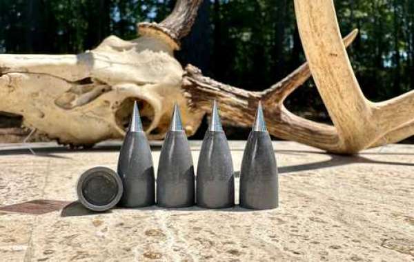 Big Bore Airgun Ammo: Best for Hunting and Target Shooting