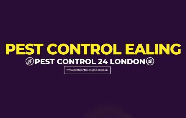 Effective Pest Control Options for a Pest-Free Ealing"