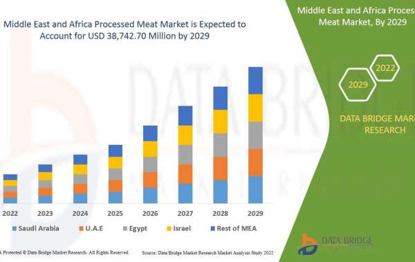 Middle East and Africa Processed Meat Market  Business idea's and Strategies forecast 2029