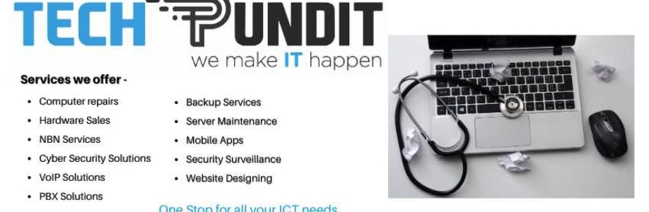 Tech Pundit Cover Image