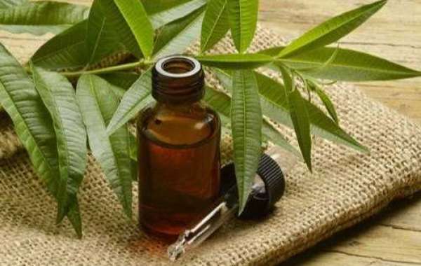 Lice Beware: Using Tea Tree Oil for Effective and Safe Treatment