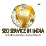 SEO Consultant India Profile Picture