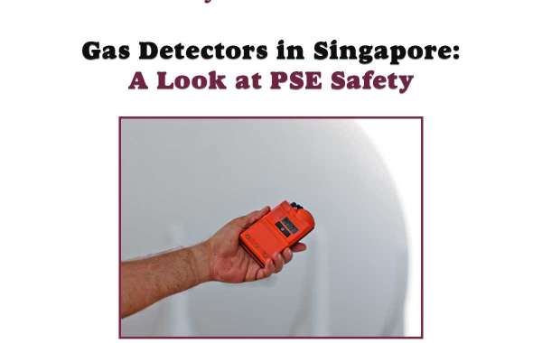 Gas Detector Singapore: Safeguarding Your Environment