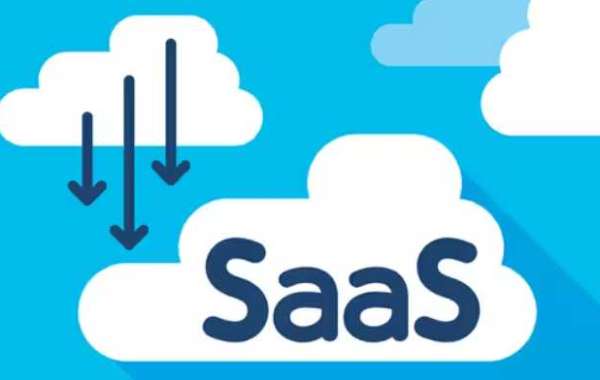 Demystifying SaaS: Software as a Service and SaaS Hosting