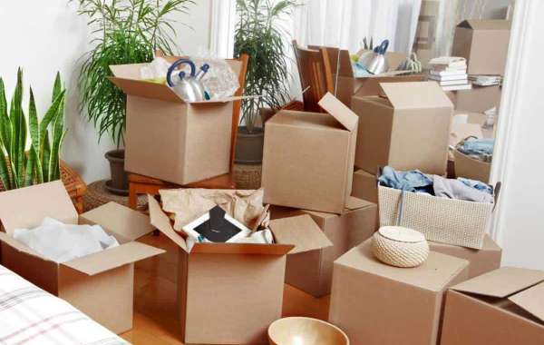 Common Self-Moving Challenges and How Movers & Packers Can Help