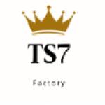 ts7factory Profile Picture
