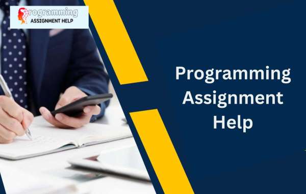From Zero to Hero: How Programming Assignment Help Can Transform Your Skills