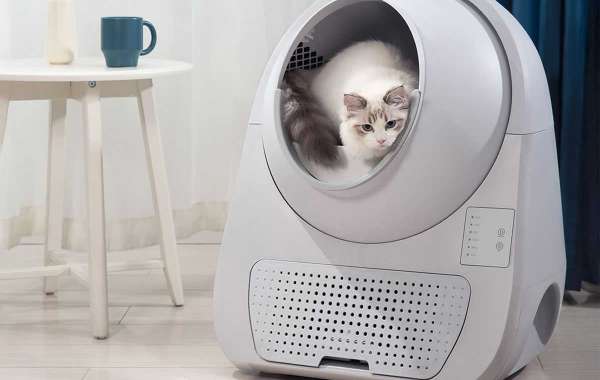 Big Cat, Big Convenience: How Automatic Litter Boxes Make Life Easier