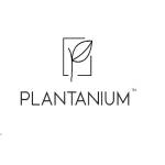 plantanium Profile Picture