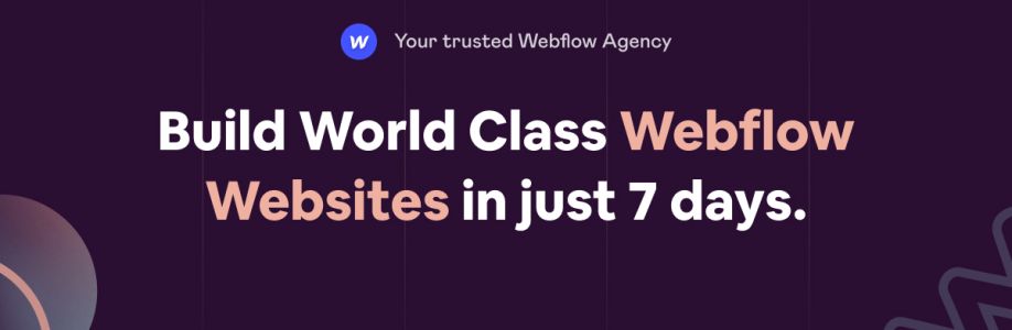 Wegems - Webflow Design Agency Cover Image