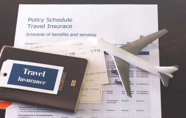 The Essential Checklist: What Overseas Travel Insurance Should Cover