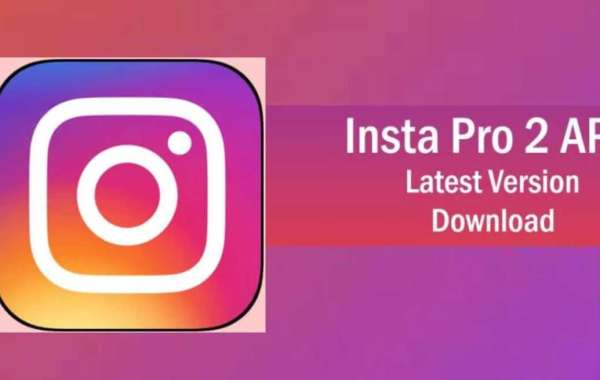 Instagram Pro: Unleashing the Power of Social Media