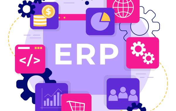 Maximizing Efficiency: The Power of ERP Systems in Dubai