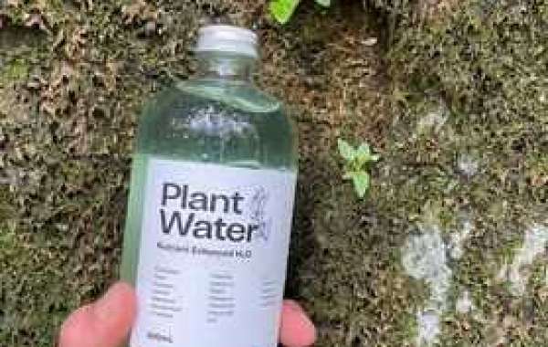 Purchase Chlorophyll Water Online