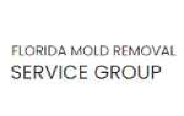 Mold Inspection in Pensacola and Mold Remediation in Destin: Ensuring a Healthy Home