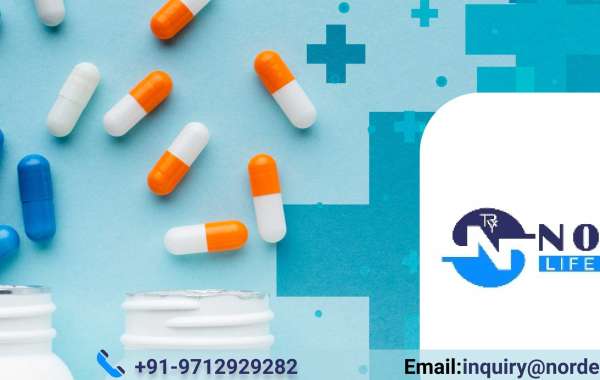 Unlocking Opportunities: Norden Life Science - Your Best PCD Pharma Company in India