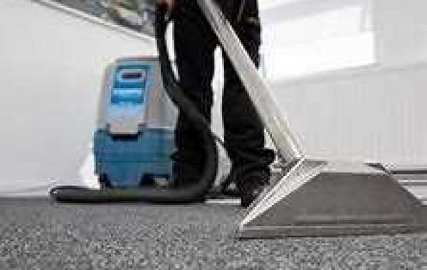 Why Carpet Cleaning Services Matter