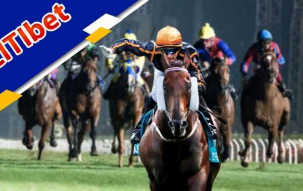 Citibet Horse Racing and Evolution Gaming Singapore: A Winning Combination