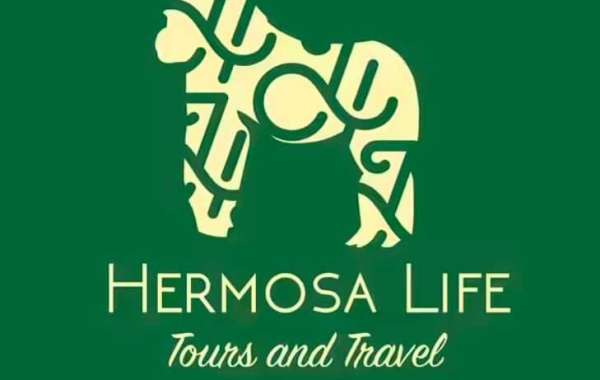 Tour Companies and Operators in Rwanda: Discover the Unparalleled Beauty with Hermosa Life Tourism