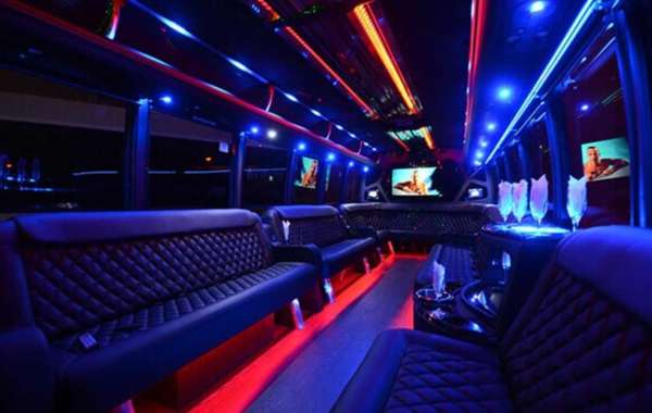 Party Bus Rentals for Nature Lovers: Exploring Scenic Routes