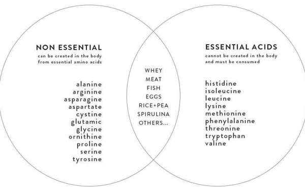 Decoding Amino Acids: Navigating the Essential vs. Non-Essential Conundrum with Solution Peptide