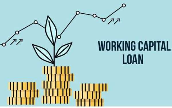 Exploring Working Capital Loans for Business Expansion