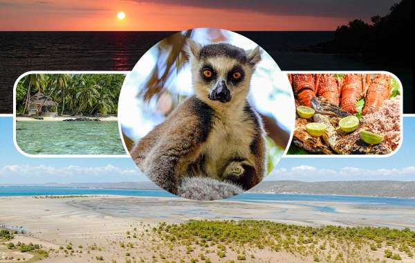 Explore the Wildlife, Culture and History of Madagascar in 7 Days with Madagascar Tours Guide
