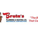 bruins plumbing Profile Picture