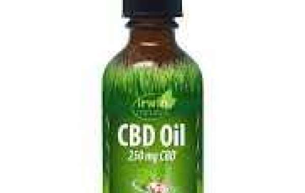 CBD Oil as an Alternative to Traditional Pain Medications