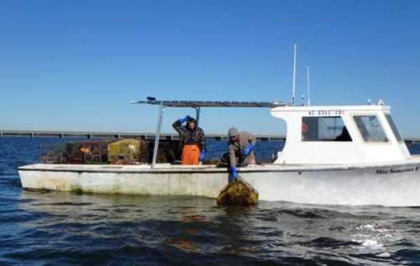 Boat Cushion Repair in Wilmington, NC