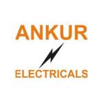 Ankur Electricals Profile Picture