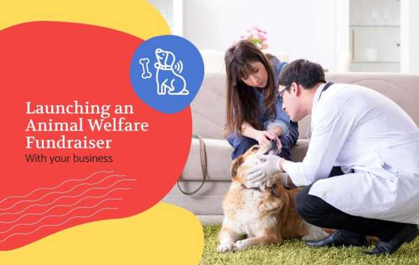 Pet Shop Networking: Building Relationships for Success