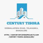 Century Tisora Profile Picture