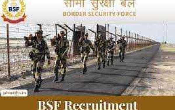 On the Path to Vigor: Physical Fitness Requirements for BSF Recruitment - Training Tips and Guidelines