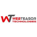 Webteasor Technologies Dubai Profile Picture