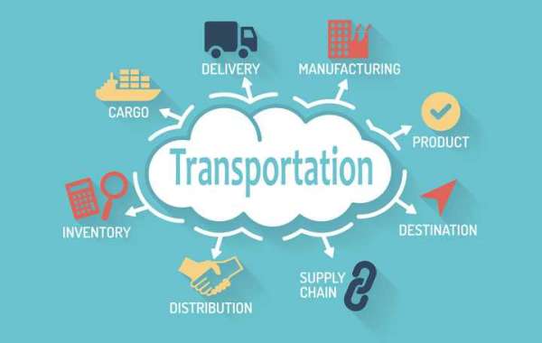Transportation Management System Market Growth Analysis up to 2032