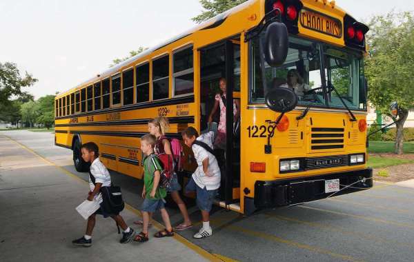 5 Benefits of Choosing School Bus Charter Services for Field Trips