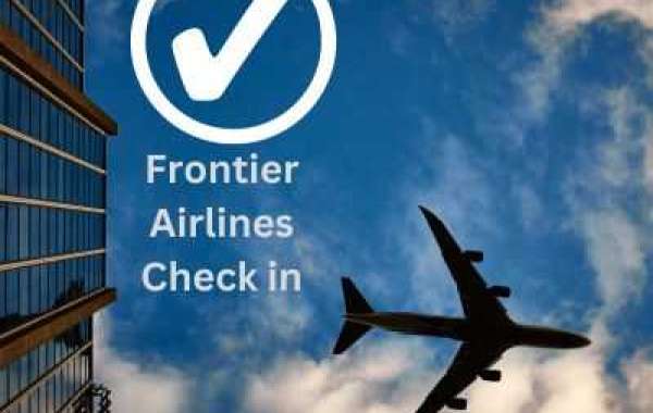 A Comprehensive Guide to Frontier Check-In