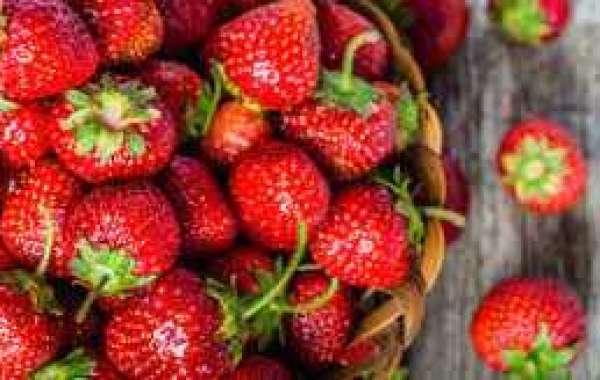 Strawberries Have Many Well being Advantages For Males