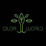 Qudri World Profile Picture