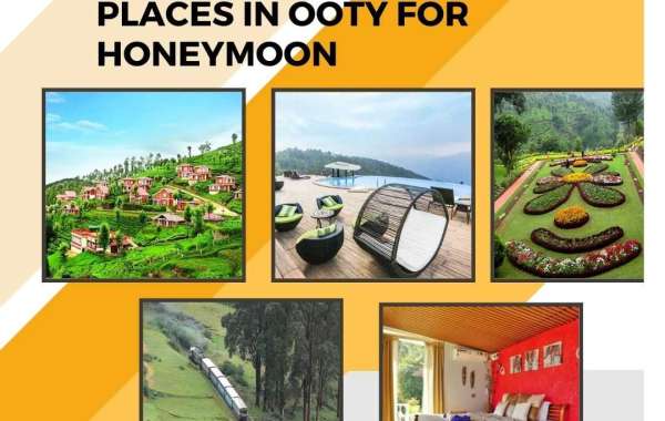Discover the Enchanting Romance: Best Honeymoon Places in Ooty