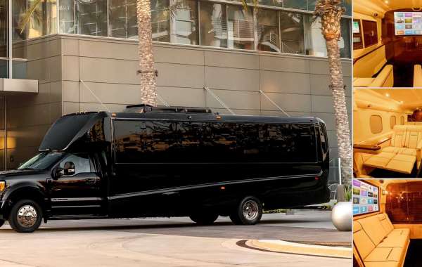 Sprinter Luxury Van: The Epitome of Elegance and Comfort