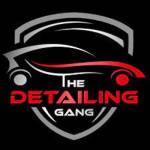 The Detailing Gang Profile Picture